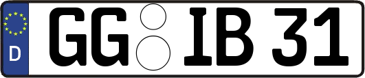 GG-IB31