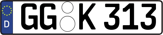 GG-K313