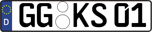 GG-KS01