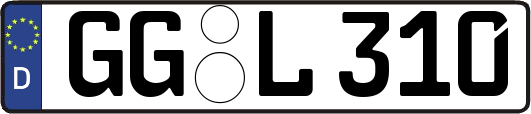 GG-L310