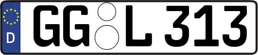 GG-L313