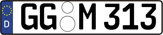GG-M313