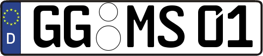 GG-MS01