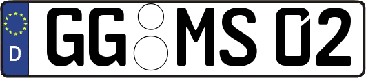 GG-MS02