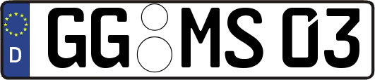 GG-MS03