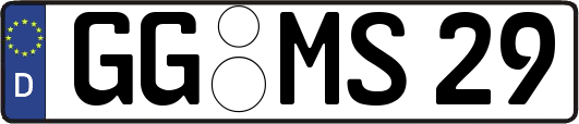 GG-MS29