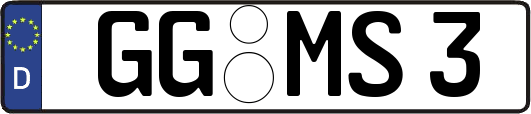 GG-MS3