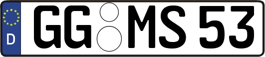 GG-MS53