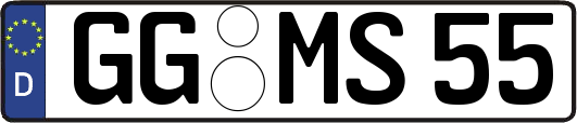GG-MS55