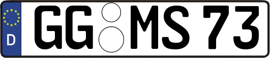 GG-MS73