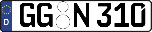 GG-N310