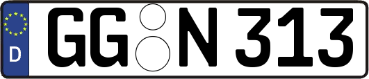GG-N313
