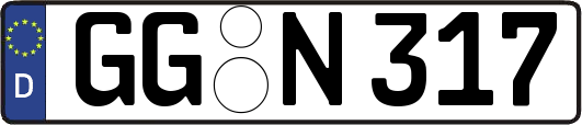 GG-N317