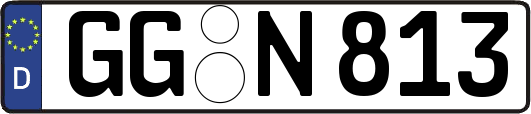 GG-N813