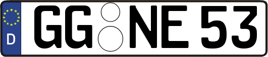 GG-NE53
