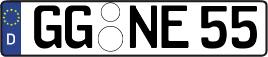 GG-NE55