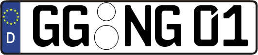 GG-NG01