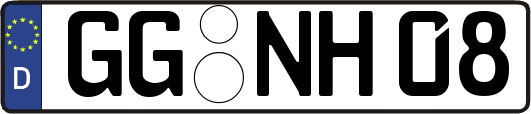 GG-NH08