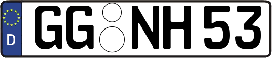 GG-NH53