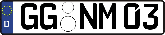 GG-NM03