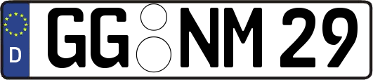 GG-NM29