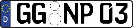 GG-NP03