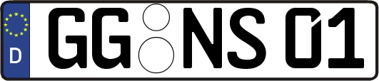 GG-NS01