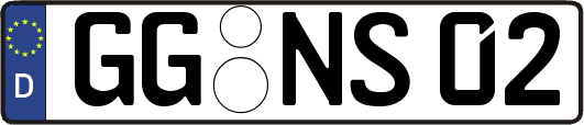 GG-NS02