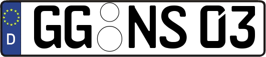 GG-NS03