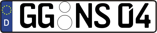 GG-NS04