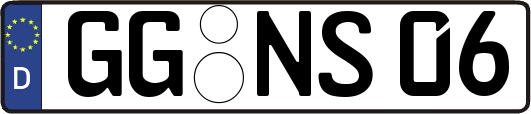 GG-NS06