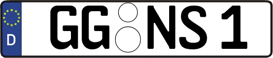 GG-NS1