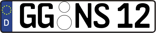 GG-NS12