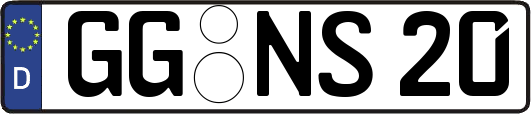 GG-NS20