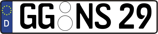 GG-NS29