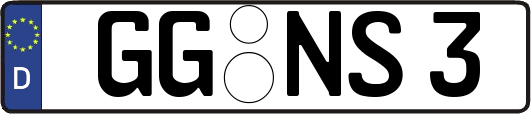 GG-NS3