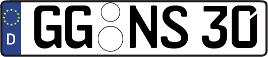 GG-NS30