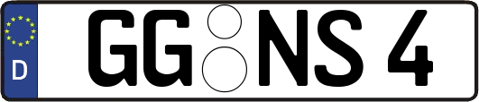 GG-NS4