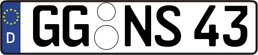 GG-NS43