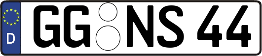 GG-NS44