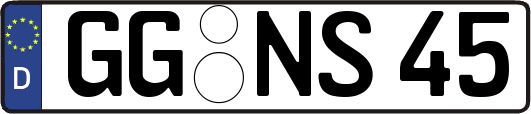 GG-NS45