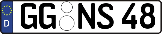 GG-NS48