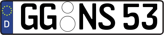 GG-NS53