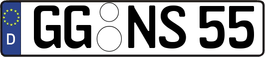 GG-NS55