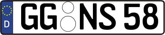 GG-NS58