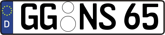 GG-NS65