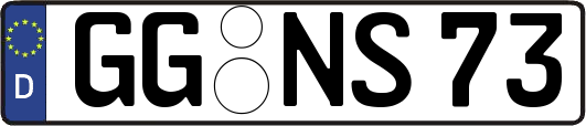 GG-NS73