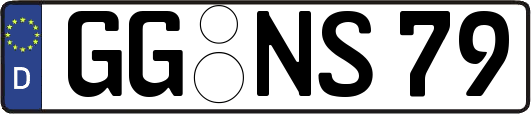GG-NS79