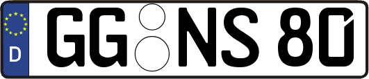 GG-NS80