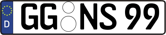 GG-NS99